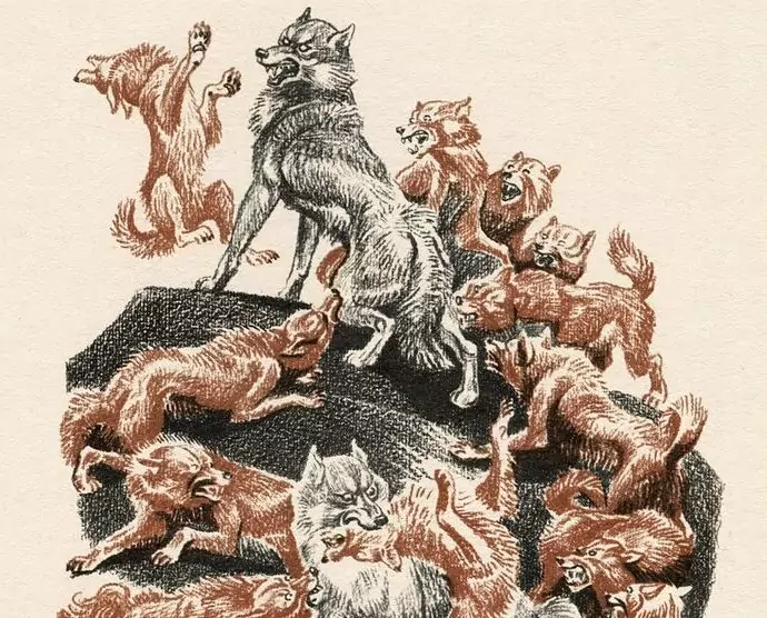 красный волк рисунок